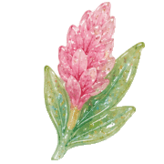 Okinawa Resin Charms รูปที่ 14