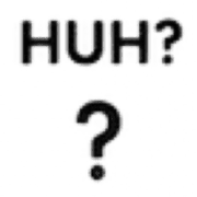 019