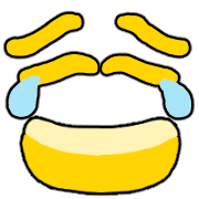 010