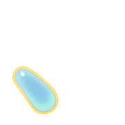 256