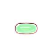 251