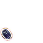256