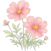 009