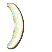 235
