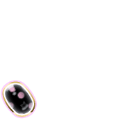 256