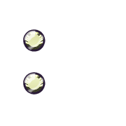 244