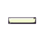 251