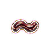 224