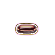 251