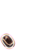 256