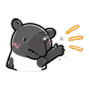 005