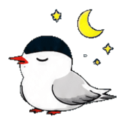 003