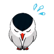 009