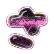 011