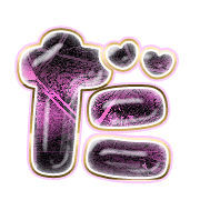 066
