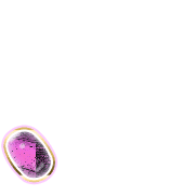 256