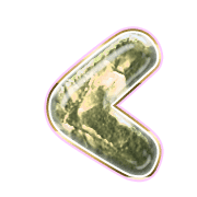 008