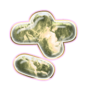 011