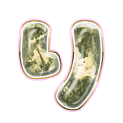 040