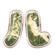 121