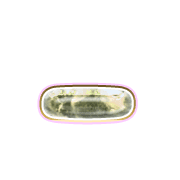 161