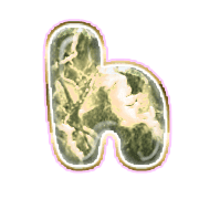 195