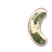 234