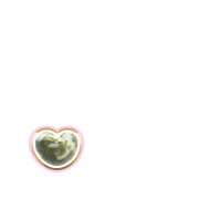 246
