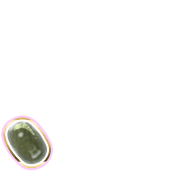 256
