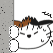 029