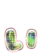 048