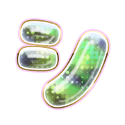092