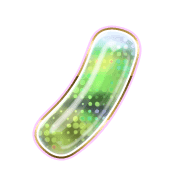 105