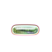 161