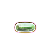 251