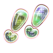 268