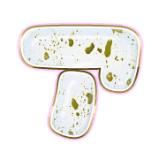 081