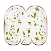 174
