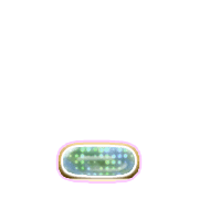 250