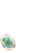 256