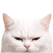 032
