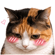 039
