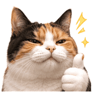 040