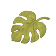 006