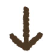 007
