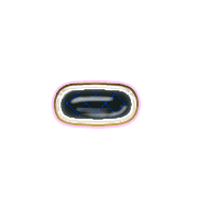 251