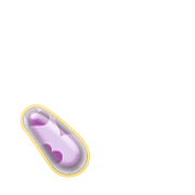 256