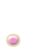 246