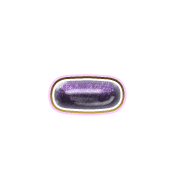 251