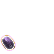 256